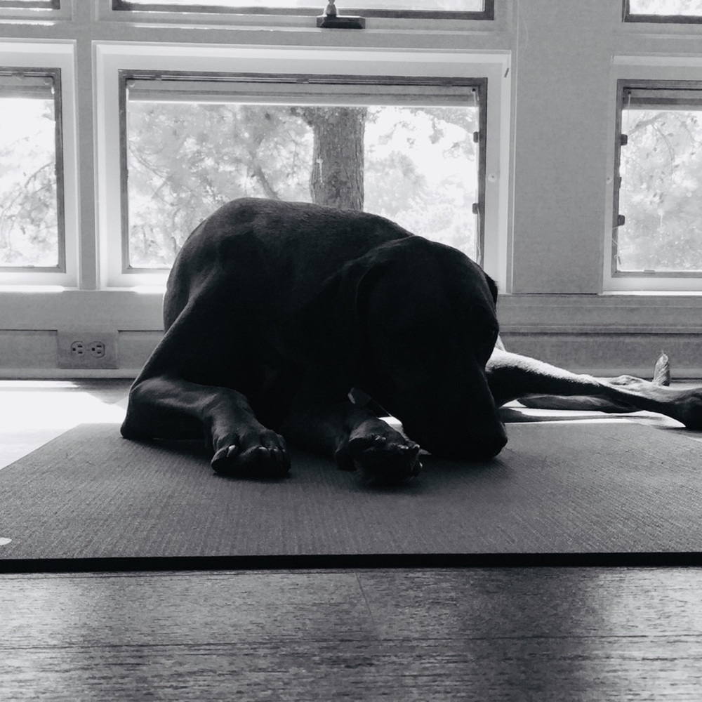 Meet your Posher, Esther